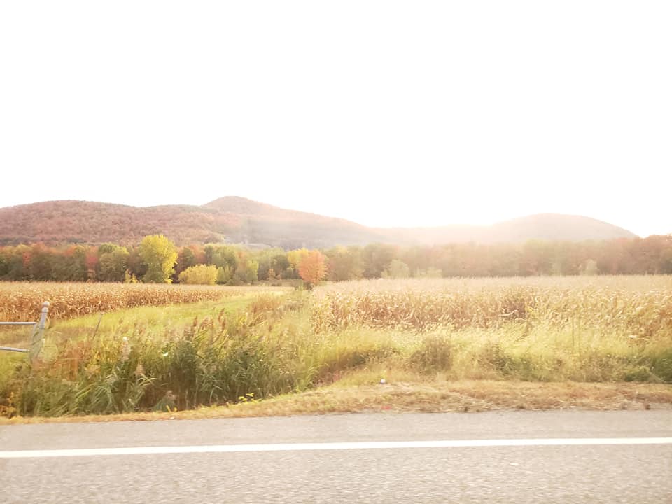 A picture of sun shining bright over a field in the country side. There are mountains in the distance.